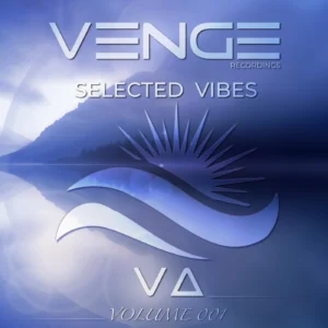 Compilation Selected Vibes Volume 1 : 1 musique sélectionnée